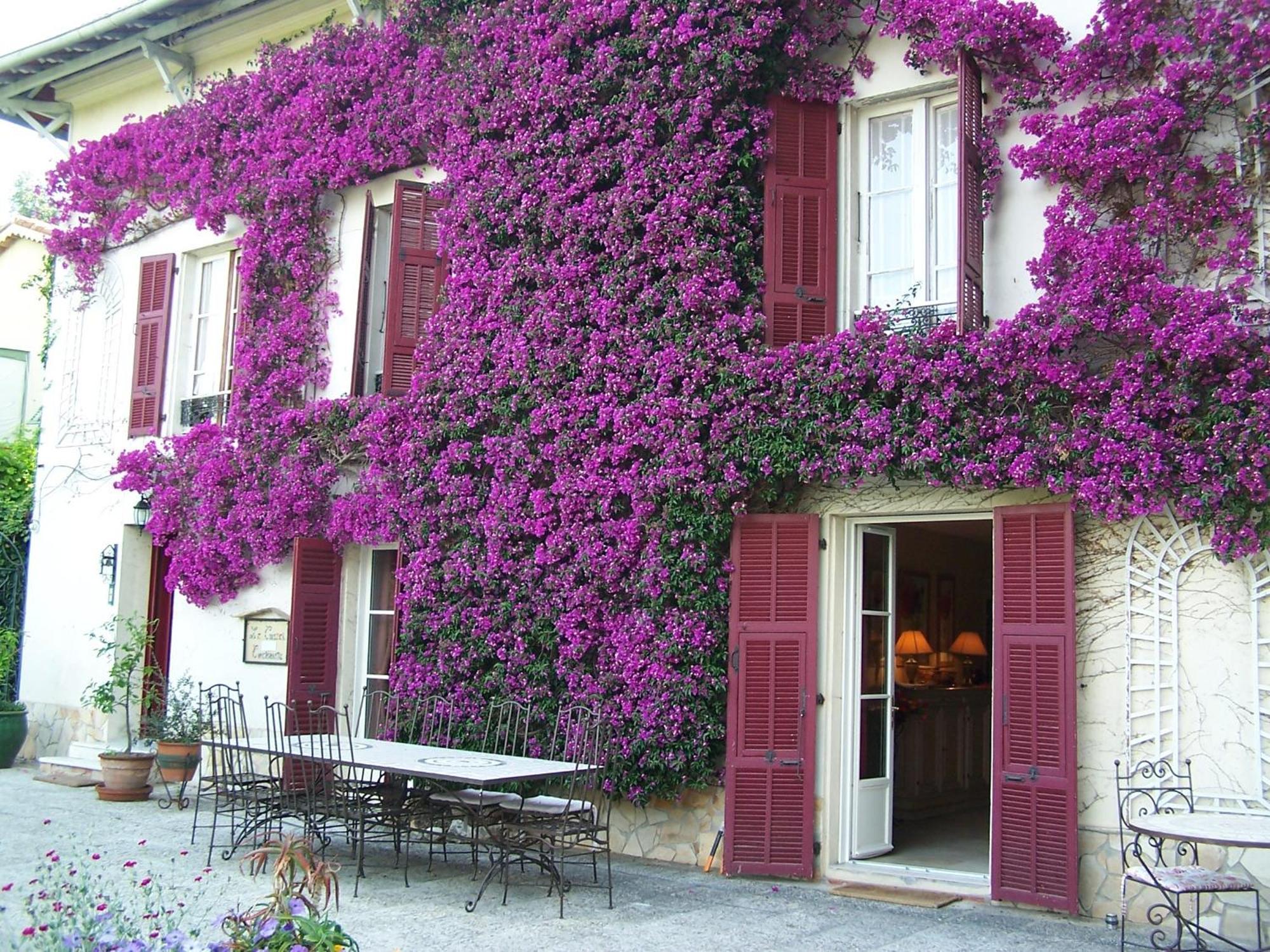 Castel Enchante Nizza Exterior foto