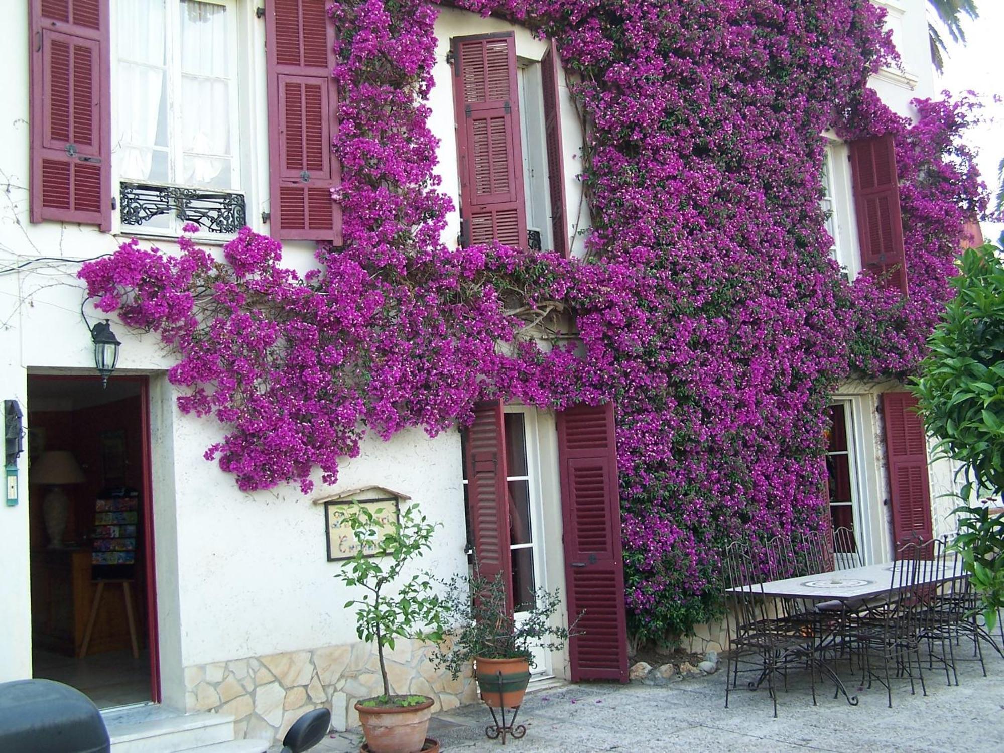 Castel Enchante Nizza Exterior foto