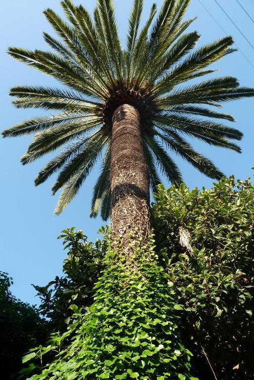 Castel Enchante Nizza Exterior foto